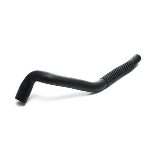 Mangueira Superior do Radiador - Ford Focus 1.6 Zetem Rocam 03 a 08